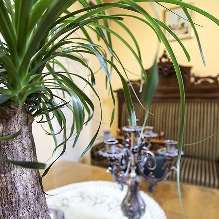 Luna Apartment Novi Sad Dış mekan fotoğraf