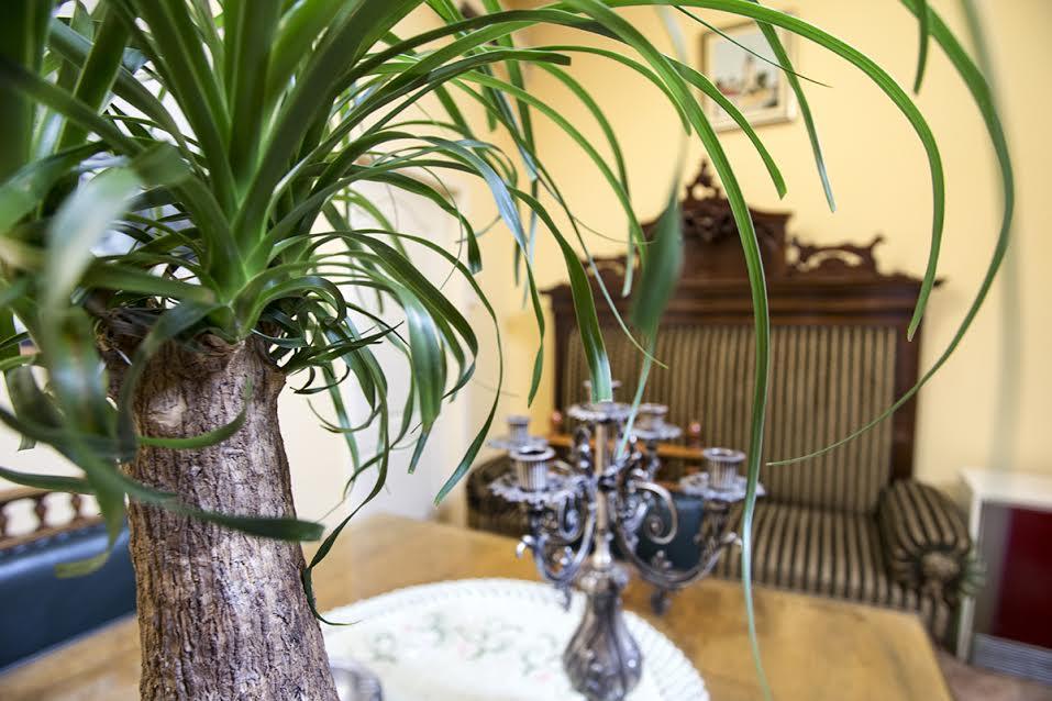 Luna Apartment Novi Sad Dış mekan fotoğraf